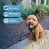 imageAir Frontier Mesh Dog Harness with and Reflective Dog Leash Set Reflective Stitching and Lightweight Breathable NoPull Design Adjustable Neck and Chest Straps for Small to Large Breeds  RDW MHarness Blue Mesh