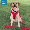 imageAir Frontier Mesh Dog Harness with and Reflective Dog Leash Set Reflective Stitching and Lightweight Breathable NoPull Design Adjustable Neck and Chest Straps for Small to Large Breeds  RDW MHarness Red Mesh