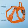 imageAir Frontier Mesh Dog Harness with and Reflective Dog Leash Set Reflective Stitching and Lightweight Breathable NoPull Design Adjustable Neck and Chest Straps for Small to Large Breeds  RDW MHarness Orange Mesh