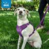 imageAir Frontier Mesh Dog Harness with and Reflective Dog Leash Set Reflective Stitching and Lightweight Breathable NoPull Design Adjustable Neck and Chest Straps for Small to Large Breeds  RDW MHarness Leash Set Fuchsia Mesh