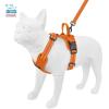 imageAir Frontier Mesh Dog Harness with and Reflective Dog Leash Set Reflective Stitching and Lightweight Breathable NoPull Design Adjustable Neck and Chest Straps for Small to Large Breeds  RDW MHarness Leash Set Orange Mesh
