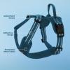 imageAir Frontier Mesh Dog Harness with and Reflective Dog Leash Set Reflective Stitching and Lightweight Breathable NoPull Design Adjustable Neck and Chest Straps for Small to Large Breeds  RDW MHarness Blue Mesh