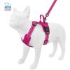 imageAir Frontier Mesh Dog Harness with and Reflective Dog Leash Set Reflective Stitching and Lightweight Breathable NoPull Design Adjustable Neck and Chest Straps for Small to Large Breeds  RDW MHarness Leash Set Fuchsia Mesh