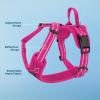 imageAir Frontier Mesh Dog Harness with and Reflective Dog Leash Set Reflective Stitching and Lightweight Breathable NoPull Design Adjustable Neck and Chest Straps for Small to Large Breeds  RDW MHarness Fuchsia Mesh