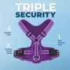 imageAir Frontier Mesh Dog Harness with and Reflective Dog Leash Set Reflective Stitching and Lightweight Breathable NoPull Design Adjustable Neck and Chest Straps for Small to Large Breeds  RDW MHarness Purple Mesh
