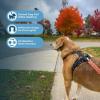 imageAir Frontier Mesh Dog Harness with and Reflective Dog Leash Set Reflective Stitching and Lightweight Breathable NoPull Design Adjustable Neck and Chest Straps for Small to Large Breeds  RDW MHarness Camo Mesh