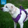 imageAir Frontier Mesh Dog Harness with and Reflective Dog Leash Set Reflective Stitching and Lightweight Breathable NoPull Design Adjustable Neck and Chest Straps for Small to Large Breeds  RDW MHarness Purple Mesh