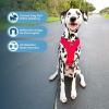 imageAir Frontier Mesh Dog Harness with and Reflective Dog Leash Set Reflective Stitching and Lightweight Breathable NoPull Design Adjustable Neck and Chest Straps for Small to Large Breeds  RDW MHarness Red Mesh