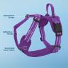 imageAir Frontier Mesh Dog Harness with and Reflective Dog Leash Set Reflective Stitching and Lightweight Breathable NoPull Design Adjustable Neck and Chest Straps for Small to Large Breeds  RDW MHarness Purple Mesh