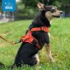 imageAir Frontier Mesh Dog Harness with and Reflective Dog Leash Set Reflective Stitching and Lightweight Breathable NoPull Design Adjustable Neck and Chest Straps for Small to Large Breeds  RDW MHarness Orange Mesh
