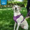 imageAir Frontier Mesh Dog Harness with and Reflective Dog Leash Set Reflective Stitching and Lightweight Breathable NoPull Design Adjustable Neck and Chest Straps for Small to Large Breeds  RDW MHarness Purple Mesh