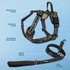 imageAir Frontier Mesh Dog Harness with and Reflective Dog Leash Set Reflective Stitching and Lightweight Breathable NoPull Design Adjustable Neck and Chest Straps for Small to Large Breeds  RDW MHarness Leash Set Camo Mesh