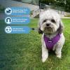 imageAir Frontier Mesh Dog Harness with and Reflective Dog Leash Set Reflective Stitching and Lightweight Breathable NoPull Design Adjustable Neck and Chest Straps for Small to Large Breeds  RDW MHarness Purple Mesh