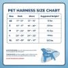 imageAir Frontier Mesh Dog Harness with and Reflective Dog Leash Set Reflective Stitching and Lightweight Breathable NoPull Design Adjustable Neck and Chest Straps for Small to Large Breeds  RDW MHarness Blue Mesh