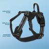 imageAir Frontier Mesh Dog Harness with and Reflective Dog Leash Set Reflective Stitching and Lightweight Breathable NoPull Design Adjustable Neck and Chest Straps for Small to Large Breeds  RDW MHarness Black Mesh