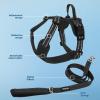 imageAir Frontier Mesh Dog Harness with and Reflective Dog Leash Set Reflective Stitching and Lightweight Breathable NoPull Design Adjustable Neck and Chest Straps for Small to Large Breeds  RDW MHarness Leash Set Blue Mesh