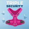imageAir Frontier Mesh Dog Harness with and Reflective Dog Leash Set Reflective Stitching and Lightweight Breathable NoPull Design Adjustable Neck and Chest Straps for Small to Large Breeds  RDW MHarness Fuchsia Mesh