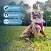 imageAir Frontier Mesh Dog Harness with and Reflective Dog Leash Set Reflective Stitching and Lightweight Breathable NoPull Design Adjustable Neck and Chest Straps for Small to Large Breeds  RDW MHarness Fuchsia Mesh