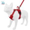 imageAir Frontier Mesh Dog Harness with and Reflective Dog Leash Set Reflective Stitching and Lightweight Breathable NoPull Design Adjustable Neck and Chest Straps for Small to Large Breeds  RDW MHarness Leash Set Red Mesh