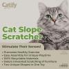 imageBest Pet Supplies Cat Scratcher Replacement Pads  Cardboard Cat Scratcher Pad Relieves Stress Supports Pet Behaviors 5 CountSlope Scratcher 2 Pack