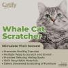 imageBest Pet Supplies Corrugated Cardboard Cat Scratcher Refill Pads Lounger and Fun Interactive Scratching Boards Claw Safe Durable Natural Recycled Materials Supports Active Play  CatShapeWhale