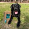 imageBest Pet Supplies Dog Poop Bags 150 Bags for Waste Refuse Cleanup Doggy Roll Replacements for Outdoor Puppy Walking and Travel Leak Proof and Tear Resistant Thick Plastic  OrangeTurquoise