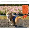 imageBest Pet Supplies Dog Poop Bags 150 Bags for Waste Refuse Cleanup Doggy Roll Replacements for Outdoor Puppy Walking and Travel Leak Proof and Tear Resistant Thick Plastic  OrangeBlack