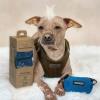 imageBest Pet Supplies Dog Poop Bags 150 Bags for Waste Refuse Cleanup Doggy Roll Replacements for Outdoor Puppy Walking and Travel Leak Proof and Tear Resistant Thick Plastic  OrangeLoyal Blue