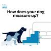 imageBest Pet Supplies Dog Stairs ampamp Steps  Foam Steps for Small Dogs ampamp Cats NonSlip Indoor Balanced Pet Step Support Dog Ramp No Assembly Brown Lattice Print Foldable 3Step 165inch HeightGray Lattice Print