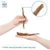 imageBest Pet Supplies GigaBite HalfCut Pig Ear Dog Chews Pack of 60Slivers