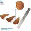 imageBest Pet Supplies GigaBite HalfCut Pig Ear Dog Chews Pack of 60Whole Ears