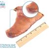 imageBest Pet Supplies GigaBite Roasted Pig Ears for Dogs  Natural Dog Chews Roasted Pigs Ears Safe for Puppies and Aggressive Chewers Cleans Teeth and Gums  Pack of 80Whole Ears
