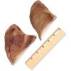 imageBest Pet Supplies GigaBite Roasted Pig Ears for Dogs  Natural Dog Chews Roasted Pigs Ears Safe for Puppies and Aggressive Chewers Cleans Teeth and Gums  Pack of 80HalfCut