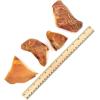 imageBest Pet Supplies GigaBite Roasted Pig Ears for Dogs  Natural Dog Chews Roasted Pigs Ears Safe for Puppies and Aggressive Chewers Cleans Teeth and Gums  Pack of 80HalfCut