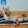imageBest Pet Supplies Machine Washable Dog Crate Mat  DoubleSided Kennel Pad  Gray Linen M 30 x 19Navy Blue