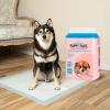 imageBest Pet Supplies Puppy Pads  Disposable Dog Training Potty Super Absorbent Baby Pink Puppy Pee Pads for Dogs 300 CountBaby Pink