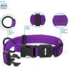 imageBest Pet Supplies Reflective Dog Collar with Adjustable Length HeavyDuty Buckle and Strong Leash DRing Training Walking Jogging Accessory for Small Medium and Large Breeds  Purple MCollar Purple