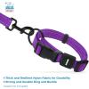 imageBest Pet Supplies Reflective Dog Collar with Adjustable Length HeavyDuty Buckle and Strong Leash DRing Training Walking Jogging Accessory for Small Medium and Large Breeds  Purple MCollar Purple