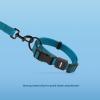 imageBest Pet Supplies Reflective Dog Collar with Adjustable Length HeavyDuty Buckle and Strong Leash DRing Training Walking Jogging Accessory for Small Medium and Large Breeds  Purple MLeash Collar Set Turquoise