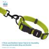 imageBest Pet Supplies Reflective Dog Collar with Adjustable Length HeavyDuty Buckle and Strong Leash DRing Training Walking Jogging Accessory for Small Medium and Large Breeds  Purple MCollar Lime Green
