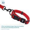 imageBest Pet Supplies Reflective Dog Collar with Adjustable Length HeavyDuty Buckle and Strong Leash DRing Training Walking Jogging Accessory for Small Medium and Large Breeds  Purple MCollar Red