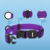 imageBest Pet Supplies Reflective Dog Collar with Adjustable Length HeavyDuty Buckle and Strong Leash DRing Training Walking Jogging Accessory for Small Medium and Large Breeds  Purple MLeash Collar Set Purple