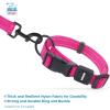 imageBest Pet Supplies Reflective Dog Collar with Adjustable Length HeavyDuty Buckle and Strong Leash DRing Training Walking Jogging Accessory for Small Medium and Large Breeds  Purple MCollar Fuchsia