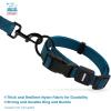 imageBest Pet Supplies Reflective Dog Collar with Adjustable Length HeavyDuty Buckle and Strong Leash DRing Training Walking Jogging Accessory for Small Medium and Large Breeds  Purple MCollar Blue