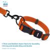 imageBest Pet Supplies Reflective Dog Collar with Adjustable Length HeavyDuty Buckle and Strong Leash DRing Training Walking Jogging Accessory for Small Medium and Large Breeds  Purple MCollar Orange
