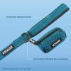 imageBest Pet Supplies Reflective Dog Collar with Adjustable Length HeavyDuty Buckle and Strong Leash DRing Training Walking Jogging Accessory for Small Medium and Large Breeds  Purple MLeash Collar Set Turquoise