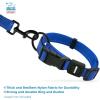 imageBest Pet Supplies Reflective Dog Collar with Adjustable Length HeavyDuty Buckle and Strong Leash DRing Training Walking Jogging Accessory for Small Medium and Large Breeds  Purple MCollar Royal Blue