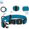 imageBest Pet Supplies Reflective Dog Collar with Adjustable Length HeavyDuty Buckle and Strong Leash DRing Training Walking Jogging Accessory for Small Medium and Large Breeds  Purple MTurquoise