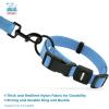 imageBest Pet Supplies Reflective Dog Collar with Adjustable Length HeavyDuty Buckle and Strong Leash DRing Training Walking Jogging Accessory for Small Medium and Large Breeds  Purple MCollar Baby Blue