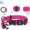 imageBest Pet Supplies Reflective Dog Collar with Adjustable Length HeavyDuty Buckle and Strong Leash DRing Training Walking Jogging Accessory for Small Medium and Large Breeds  Purple MCollar Fuchsia